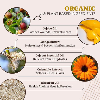 Natural Dog Company PawTection Balm 2 oz Stick – Dog Paw Protection Wax with Shea Butter & Calendula – Shields Paws from Snow, Ice, Salt, Hot Pavement & Rough Terrain – Lick-Safe, Vegan