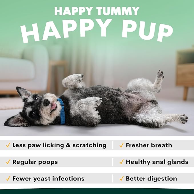 Probiotic for Dogs - Grain-Free Digestive Support Powder for Diarrhea, Bloating & Gas - Promotes Immune Support & Oral Health - Reduces Paw Licking, Allergies & Yeast Infections - 2.7 oz - 45 Scoops