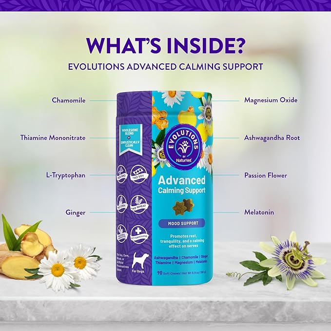 Evolutions - Advanced Calming Support Soft Chews