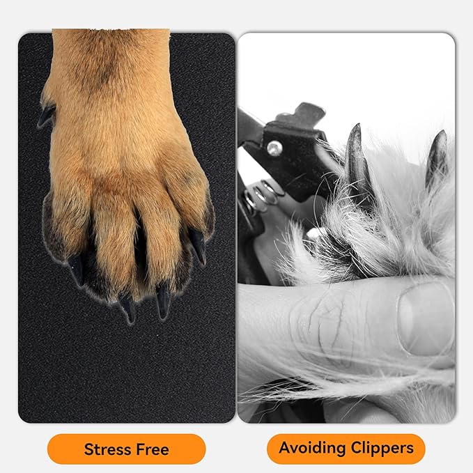 Klmnop 12 Pcs Self-Adhesive Dog Nail Scratch Replacement Pad, Sandpaper Board with Sticky for Dog Cat Nail Care, Trim, File Claw Care(11_9 Inch)