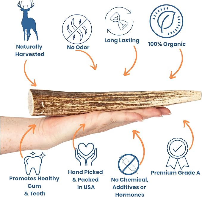Elk Antlers for Dogs - Dog Antlers for Aggressive Chewers - USA Sourced Elk Antler for Dogs to Promote Oral Health - Long Lasting Antler Chews for Small, Medium, Large & XLarge Dogs