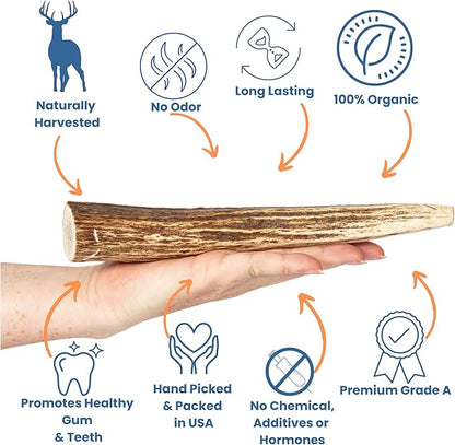 Elk Antlers for Dogs - Dog Antlers for Aggressive Chewers - USA Sourced Elk Antler for Dogs to Promote Oral Health - Long Lasting Antler Chews for Small, Medium, Large & XLarge Dogs