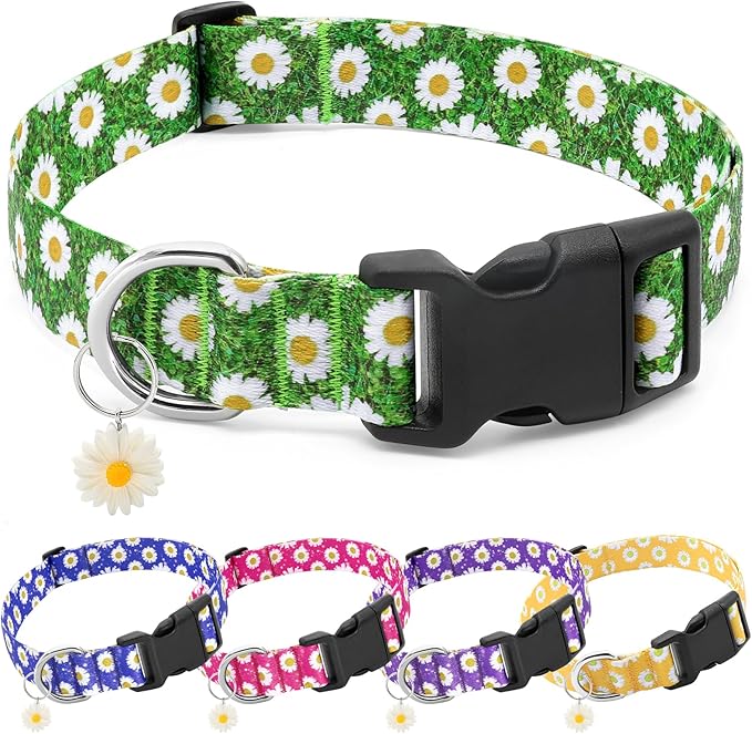 BiPawTi Green Dog Collars for Large Dog - St. Patrick's Day Dog Collars for Girls Dog, Cute Flower Spring Dog Collar with Daisies Charms, Gift for Female Male Boys Girls Dogs (L, Green)