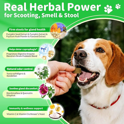 Dog Probiotics & Digestive Enzymes – Pumpkin Fiber Chews for Gut Health, Constipation& Upset Stomach Relief, Gas & Stool Support, Chicken Flavor Soft Chews – 90 Count