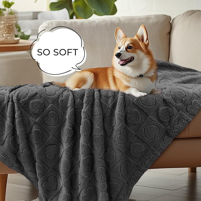 Luciphia Small Dog Blanket Washable Pet Bed Cover Soft Fluffy Puppy Blanket with Premium Fleece Cozy Calming Cat Blankets for Indoor Cats Grey 30x20 inch