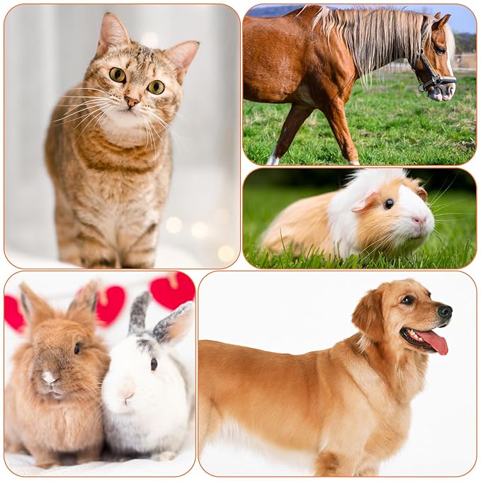 Metal Dog Comb Pet Steel Dematting Comb, Metal Cat Comb Detangler Flea Comb Doodle Brush for Removing Tangles and Knots, Professional Grooming Matting Tool for Long Haired Dogs, Cat and Other Pets