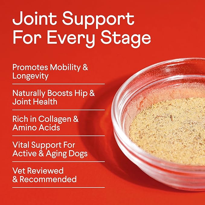 Finn Bone Broth Plus for Dogs | Joint & Mobility Topper Packed with Collagen & Amino Acids | Only 6 Ingredients | Powdered Meal Topper for Dogs