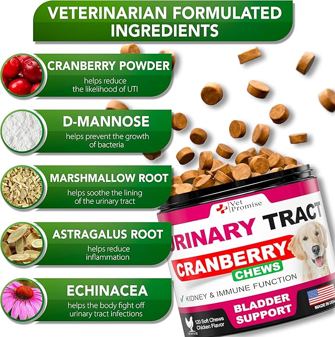Dog UTI Treatment - Cranberry Supplement for Dogs UTI - Bladder Control - Urinary Tract Infection Treatment Medicine - Cranberry Supplement Vitamins Multivitamin Chews - Made in USA