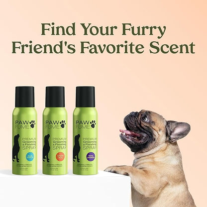 PAWFUME Dog Perfume Spray Long Lasting Scent for Grooming, Show Dog, 1-Pack  Keep Your Pup Fresh All Day  Hypoallergenic, Alcohol-Free, Detangling & Moisturizing  Salon-Quality Dog Cologne Spray