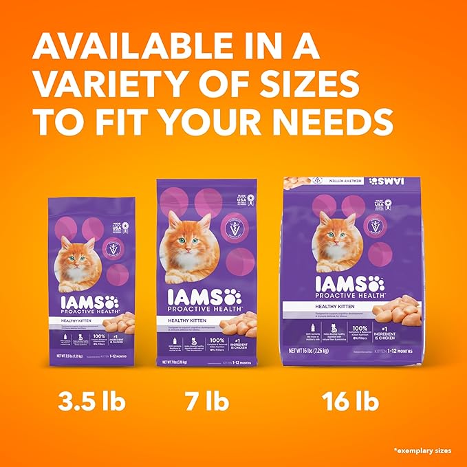 IAMs Proactive Health Dry Food for Cats - Kitten - Original - 3.18kg