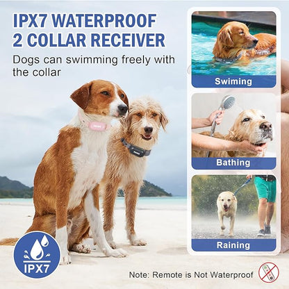 Dog Shock Collar for 2 Dogs, PAHOG 1000FT Electric Dog Training Collars for 8-120lbs Small Medium Large Dogs, Rechargeable IPX7 Waterproof E Collar with Beep, Vibration, Safe Shock Modes - Pink