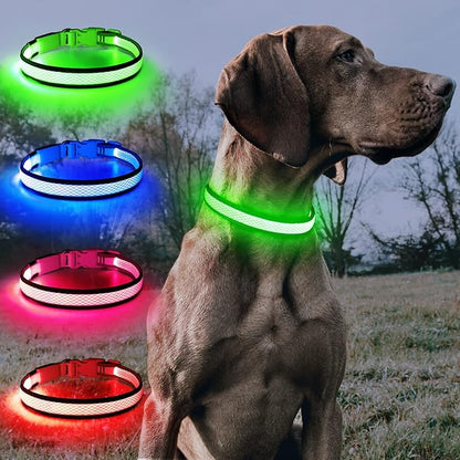 BSEEN LED Dog Collar Light- USB Rechargeable Light Up Dog Collars, Adjustable Mesh Reflective Puppy Collars for Night Dog Walking (Neon Green- Small- Collar)