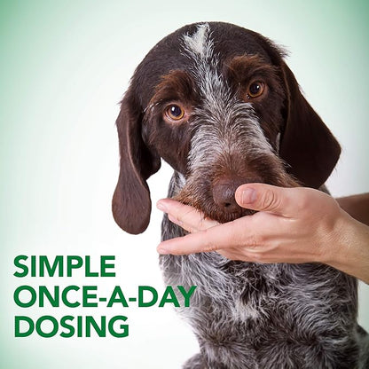 Vet's Best Probiotic Soft Chews Dog Supplement, Supports Dog Digestive Health, Promotes a Healthy Gut, 90 Day Supply