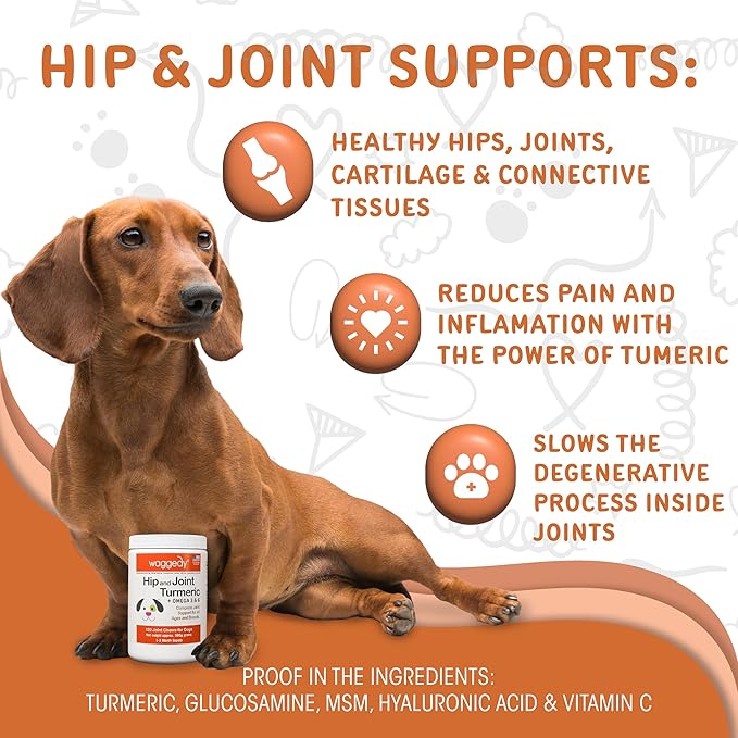 waggedy Hip and Joint Turmeric  Complete Dog Supplements for Joints with Glucosamine, MSM, HA & Omega Fatty Acids  Daily Glucosamine for Dogs to Improve Flexibility & Mobility (120 Dog Chews)