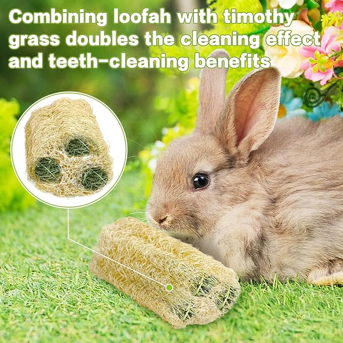 BNOSDM Bunny Chew Toys Natural Loofah 4PCS Bunny Teeth Grinding Toy Rabbit Fiber-Rich Treats Pet Entertainment Accessories for Rabbits Chinchillas Guinea Pig（L）