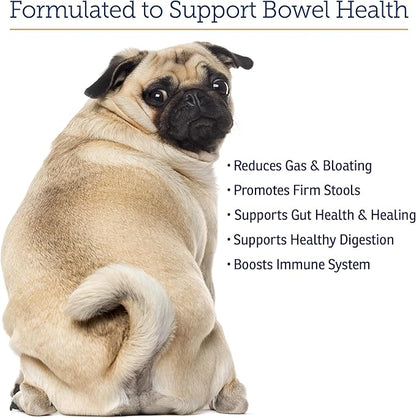 Rx Vitamins NutriGest - Dog Probiotics for Digestive Health - Probiotic for Cats - Cat Digestive Support,Anti Diarrhea for Cats and Dog Gas Relief - Probiotics for Dogs Powder - 4.65oz