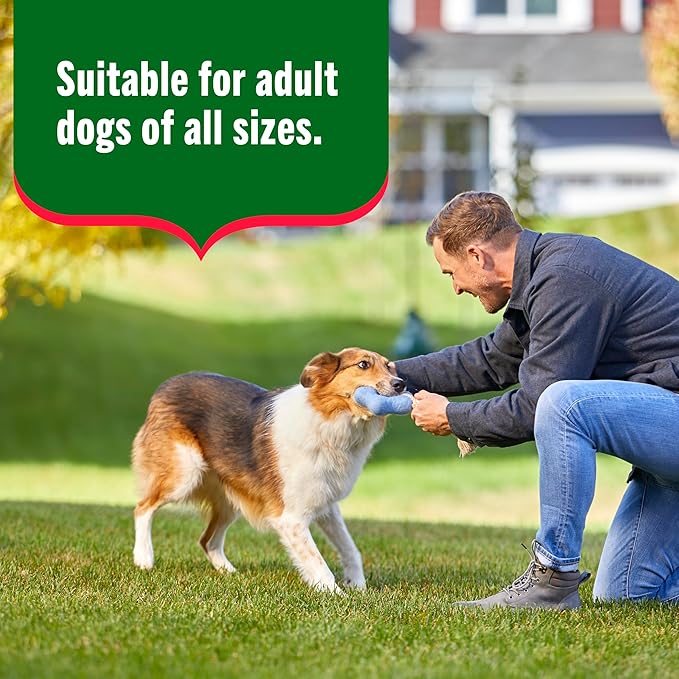 Nutrish Gentle Digestion and Whole Health Blend Premium Paté Variety Pack Wet Dog Food, 13 oz. Can, Pack of 12, Packaging May Vary (Rachael Ray)