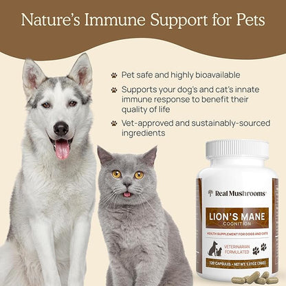 Real Mushrooms Lion_ Mane Pet Mushroom Supplement  Pet Wellbeing Capsules  for Cat & Dog Supplement & Vitamins  Support Mindful Routines  Organic, Vegan, Non-GMO, 120 Count