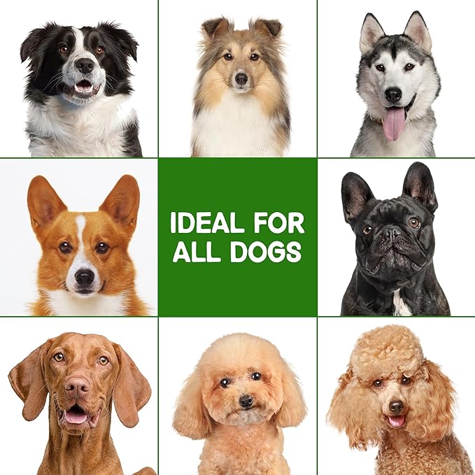 Dog Shampoo for Allergies & Itching - Natural Camellia Oil Pet Shampoo for Sensitive Skin, Deshedding, Smooth Coat for Smelly Dogs |Effective Odor Removal | 16 oz