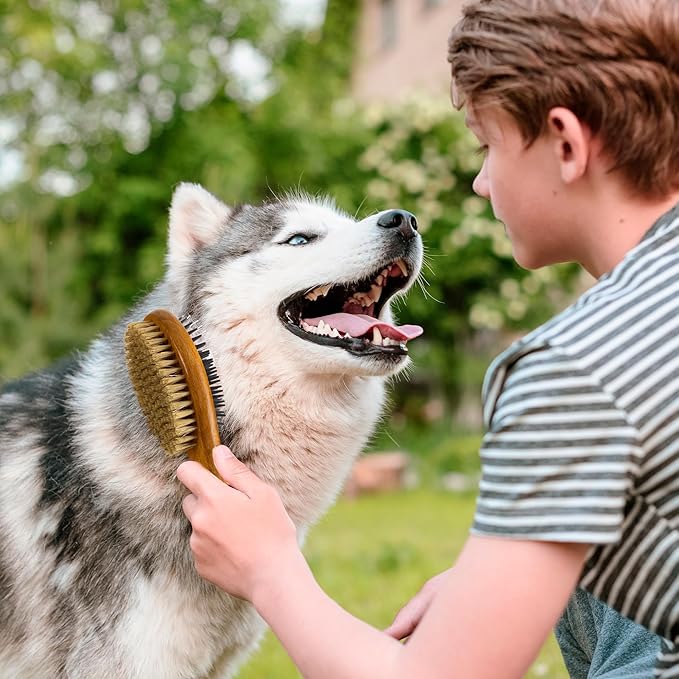 TAKAVU Short Hair Dog Cat Brush, Double-Sided Silicone & Bristle Pet Grooming Brush for Removing Dirt & Loose Hair, Coats Detangling Deshedding, Massage Pet Skin, Wood Handle Pet Comb