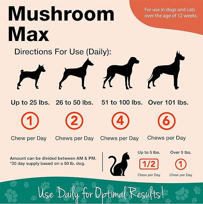 NaturVet Mushroom Max Advanced Immune Support Dog Supplement  Helps Strengthen Immunity, Overall Health for Dogs  Includes Shitake Mushrooms, Reishi, Turkey Tail  60 Ct.