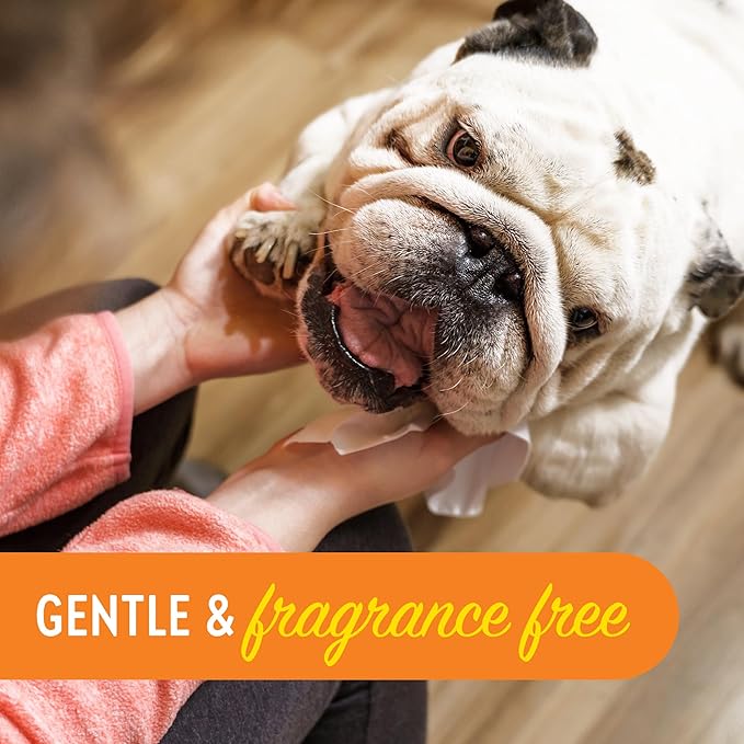 Cleansing Facial Wipes for Pets | Convenient Face Cleaning Wipes (60 Count) for Dogs and Cats | Hypoallergenic, Fragrance-Free, Remove Eye Discharge and Tear Stains