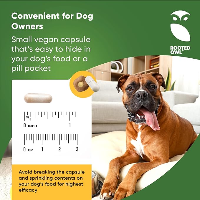 Rooted Owl Cardio Support - L-Taurine and L-Carnitine Supplement for Dogs - Cardiovascular and Heart Health Supplements for Dogs - 60/ct