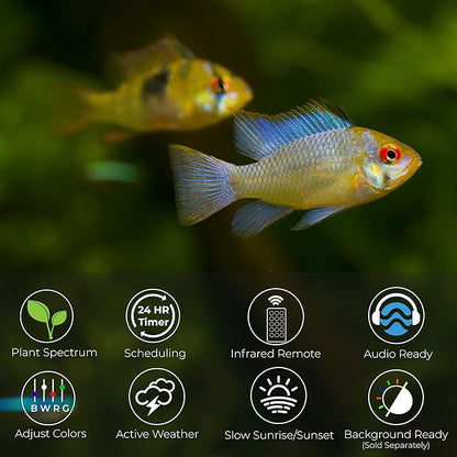 SereneSun 18" RGB+W Freshwater Aquarium Terrarium Reptile LED Light with 24 Hour Color Timer and Remote Control| RGB + 6,500K White | For Fish Tank, Reptile, Terrarium & Plants | Fits 18" to 24"