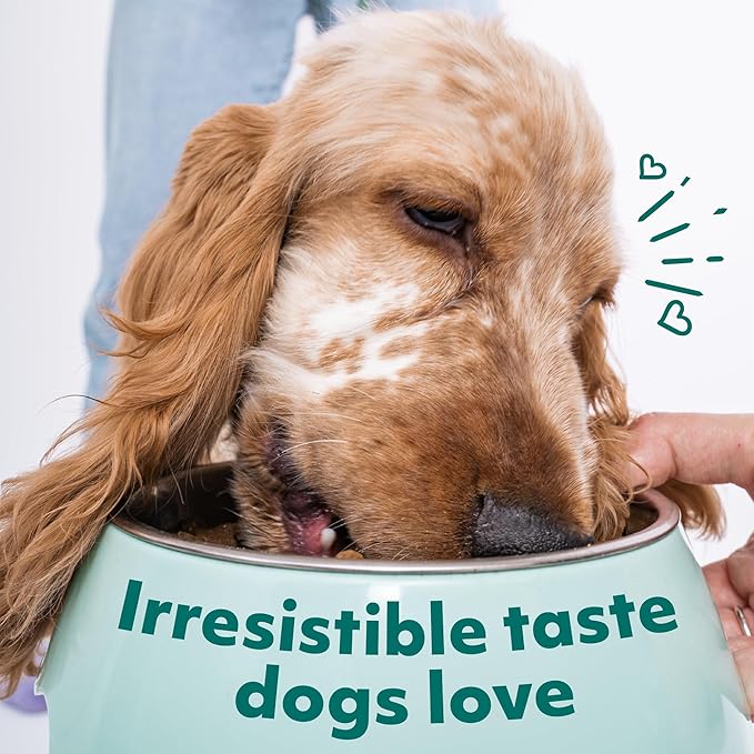 OPtimeal Grain-Free Dog Food - Proudly Ukrainian - Balanced Dog Food Dry Recipe with Immunity Support, Non-Grain Dry Dog Food for All Dog Breeds (8.8 lbs, Chicken & Veggies)