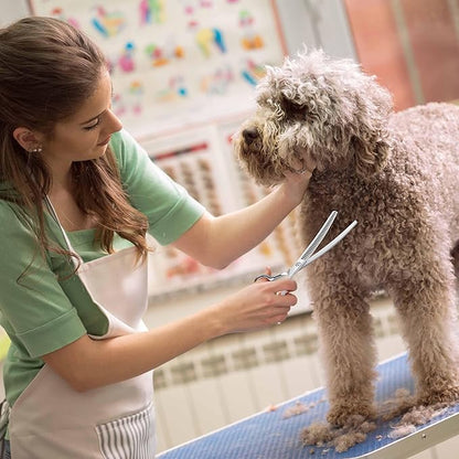 7" Upward Curved Dog Chunker Thinning Scissors Silver Dog Grooming Scissors Professional Blending Texturizing Trimming Shears for Dog Cat Pet Japanese Stainless