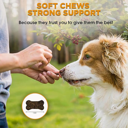 Arlo Pet Supplies Skin and Coat Supplement for Dogs, 60 Soft Chews, Omega 3 Fatty Acids, DHA, Vitamins E and C, Restore Soft, Shiny Hair and Diminish Irritation, Made in USA