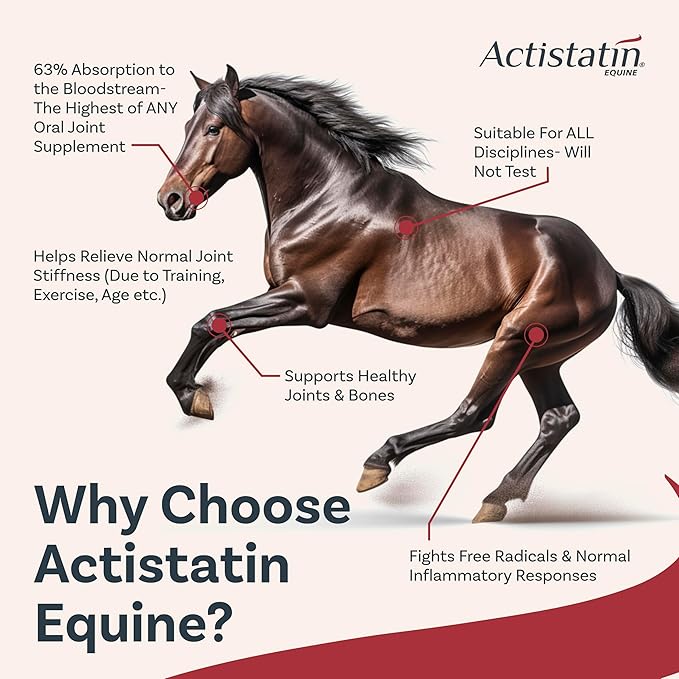 Actistatin Equine Powder - Horse Joint Supplement with Glucosamine & Chondroitin for Healthy Joints & Bones - Clinically Proven Cartilage & Soft Tissue Support for Horses - 39.65 oz - 90 Day Supply