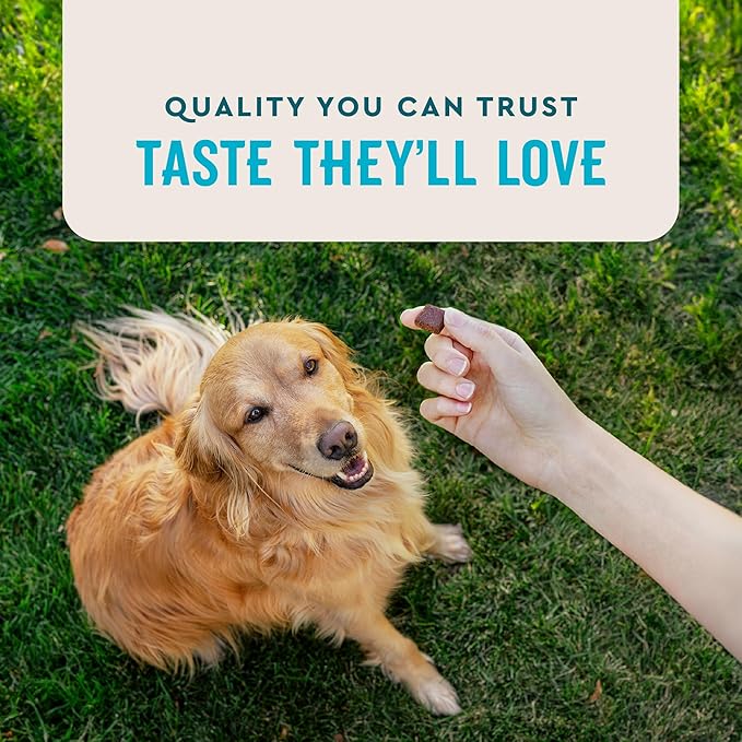 VetIQ Advanced Hip & Joint Chews For Dogs, 60 Count, Chicken Flavored Supplements Made with Glucosamine, Omega 3_, Chondroitin, MSM & Green Lipped Mussel, Increases Mobility & Maintains Muscles