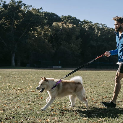 Martingale Collar for Training Dogs. Adjustable Reflective Dog Collars with Buckle- NO Pull-Prevents Slipping Out, for Medium Large XL Dogs. Helps with Strong pullers(M, red)