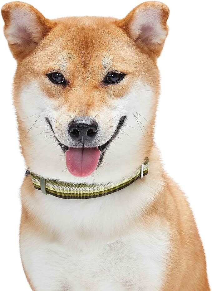 Blueberry Pet 3M Reflective Dog Collars | Adjustable Dog Collar w/Multi-Colored Stripe - Olive | Nylon Pet Collars for Dogs & Refflective Dog Collar for Small Dogs