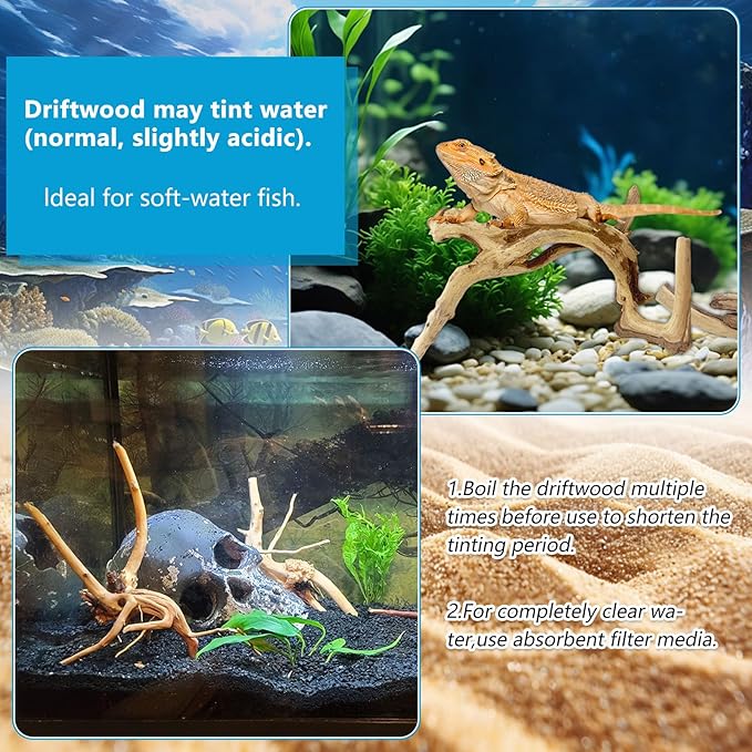 10 Pcs Natural Small Spiderwood for Aquarium, Aquarium Driftwood Freshwater 4-6 Inch, Assorted Size Spider Wood, Twisted Branches for Fishtank Accessories, Reptile Terrariums Decorations