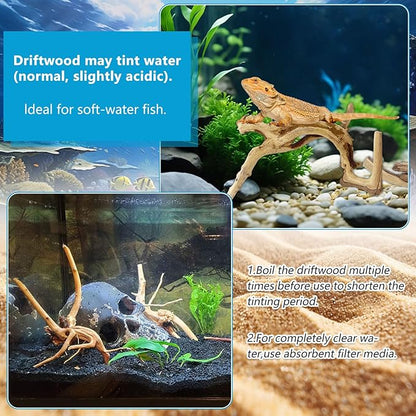 10 Pcs Natural Small Spiderwood for Aquarium, Aquarium Driftwood Freshwater 4-6 Inch, Assorted Size Spider Wood, Twisted Branches for Fishtank Accessories, Reptile Terrariums Decorations