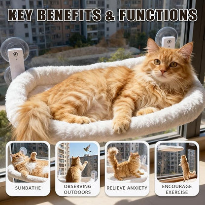 Cat Window Perch with Strong Suction Cups, 55lbs Hold Weight Tested, Foldable Cat Window Hammock Bed with Breathable Mesh, All-Season Lounger for Medium Small Cats to Bird Watch & Sunbathe (White, L)
