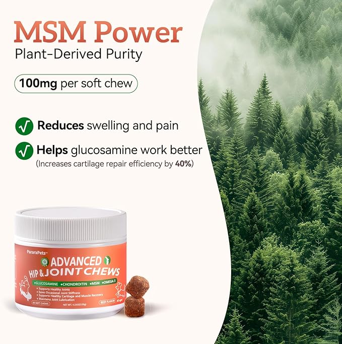 Advanced Dog Hip and Joint Supplement with Glucosamine, Chondroitin, MSM, and Vitamin C, Beef Flavor, 60 Soft Chews