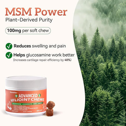 Advanced Dog Hip and Joint Supplement with Glucosamine, Chondroitin, MSM, and Vitamin C, Beef Flavor, 60 Soft Chews