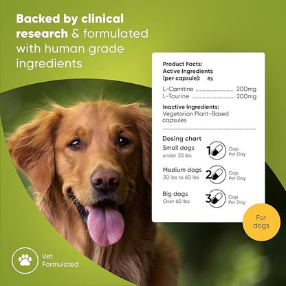 Rooted Owl Cardio Support - L-Taurine and L-Carnitine Supplement for Dogs - Cardiovascular and Heart Health Supplements for Dogs - 60/ct