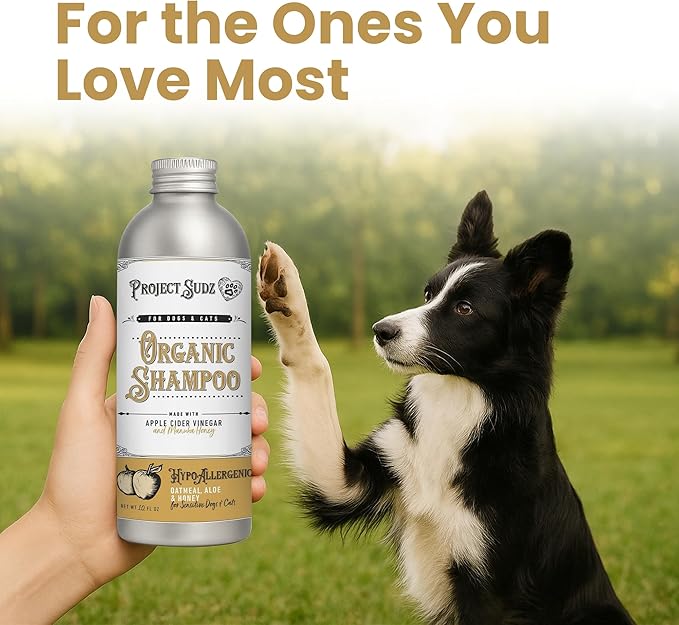 Hypoallergenic | Oatmeal & Honey Liquid Dog Shampoo| Extra Gentle for Even Puppies| Unscented