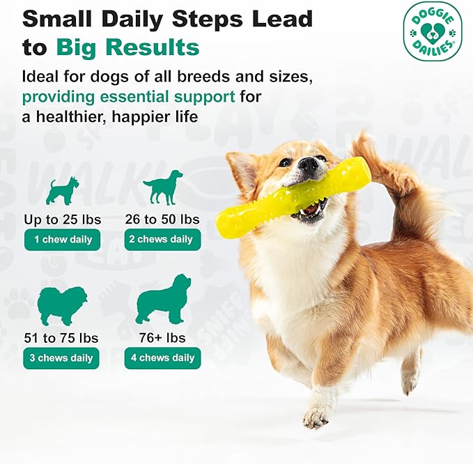 Doggie Dailies Senior Essentials Multivitamin for Dogs Soft Chews | Advanced Dog Multivitamin | Nutritional Support for Joints, Skin & Coat, Digestion, and the Immune System | Bacon Flavor | 120 Count