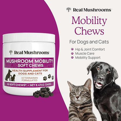 Real Mushrooms Mobility Chews for Dogs & Cats – Green Lipped Mussel & ErgoGold Mushroom Blend – Dogs & Cat Vitamins Treats for Active Routines – Joint, Hip & Flexibility Support – 240 ct Supplement