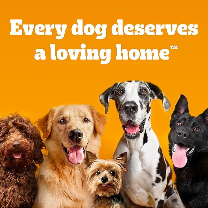 Pedigree Dentastix Small and Toy Breed Dog Treats, Original Flavor, (4) 58ct Bags (232 Treats Total)