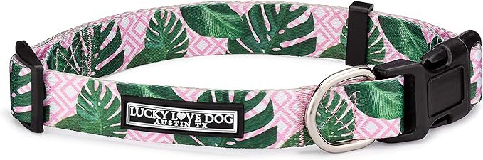 Lucky Love Dog Collars | Girl, boy Dog Collar for Small Medium Large Dogs - Comfortable, Soft, Cute - Laguna, Medium