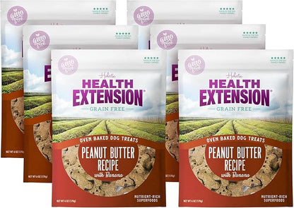 Health Extension Oven-Baked Dog Treats, 6oz (170g), Peanut Butter & Banana Recipe – Gluten & Grain-Free, Superfood-Infused, Crunchy Biscuits for Puppy Training (Pack of 6)