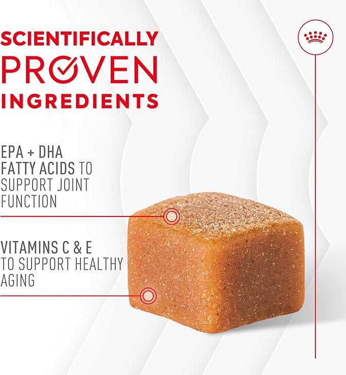 Royal Canin Joint Dog Supplement Soft Chews for Adult Dogs, 60 Count