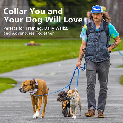 Rttochfy Martingale Dog Collars, Adjustable Nylon Dog Collar with Quick Release Buckle, No Choke Dog Training Collar for Small Medium Large Dogs (Blue, L)