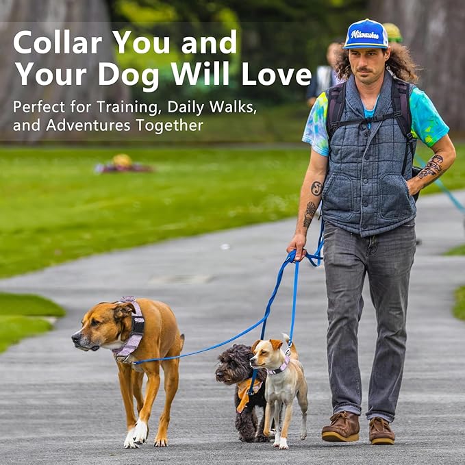 Rttochfy Martingale Dog Collars, Adjustable Nylon Dog Collar with Quick Release Buckle, No Choke Dog Training Collar for Small Medium Large Dogs (Black, M)